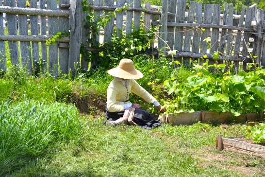 A pilgrim woman tending to her farm